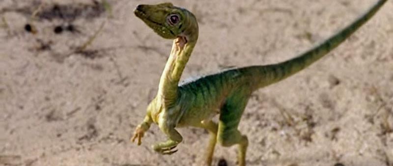 Increíble, ¡encuentrán Dinosaurio vivo en cueva de México!